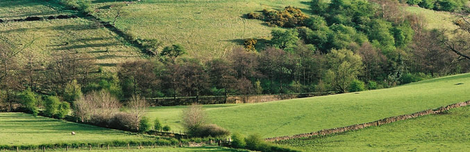 Fields in rural Derbyshire